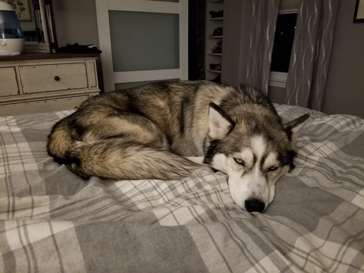 Milbury Animal Clinic