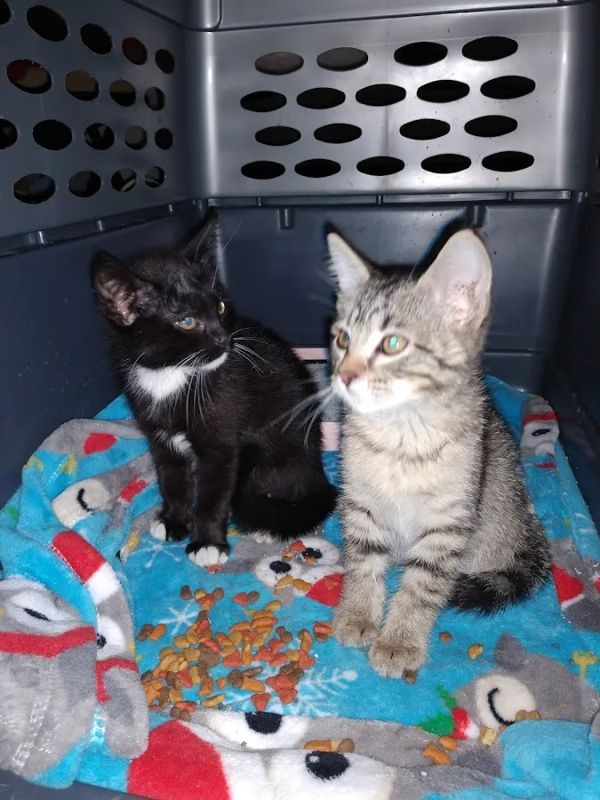 Mission Med Vet: Wilson Eric R DVM