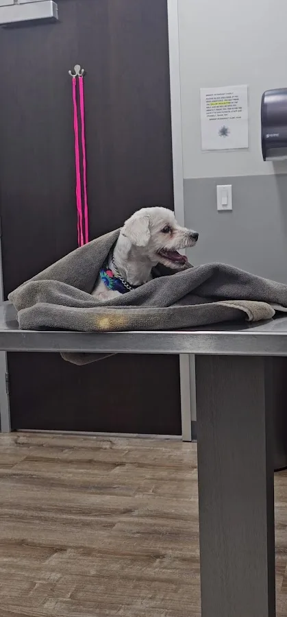 Mission Veterinary Clinic and Animal Emergency Hospital