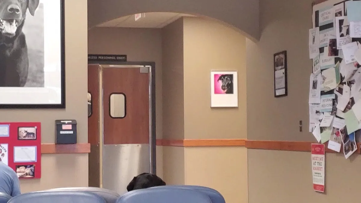 Mission Veterinary Emergency & Specialty