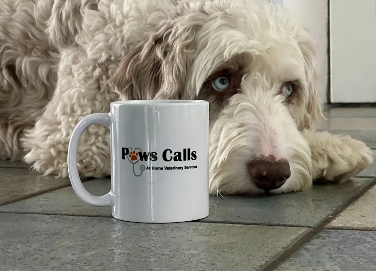 Mobile House Call: Euthanasia services primary photo