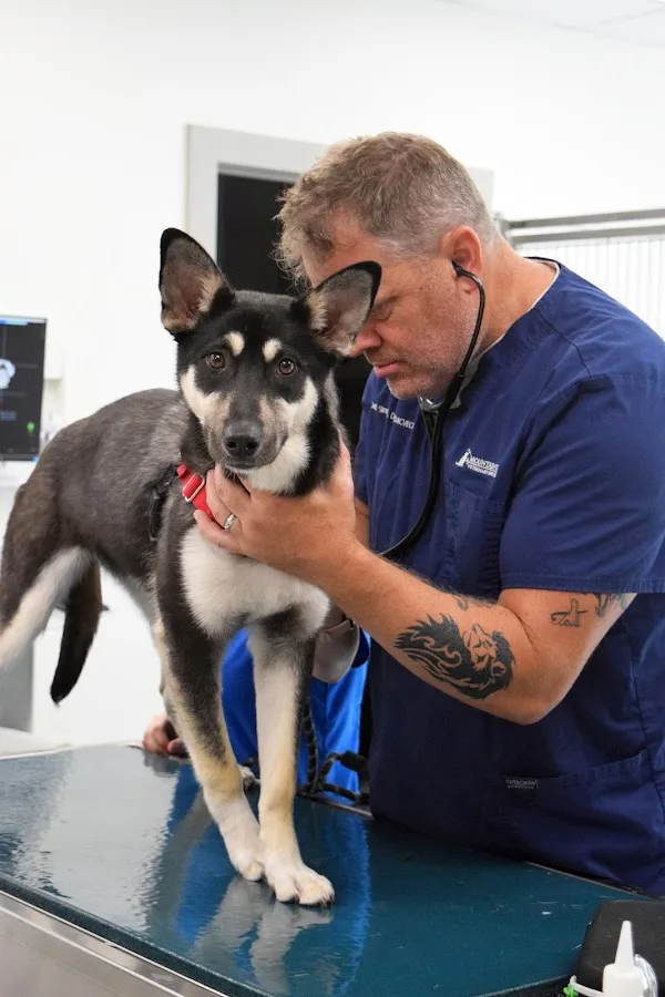 Mountain West Veterinary Specialists