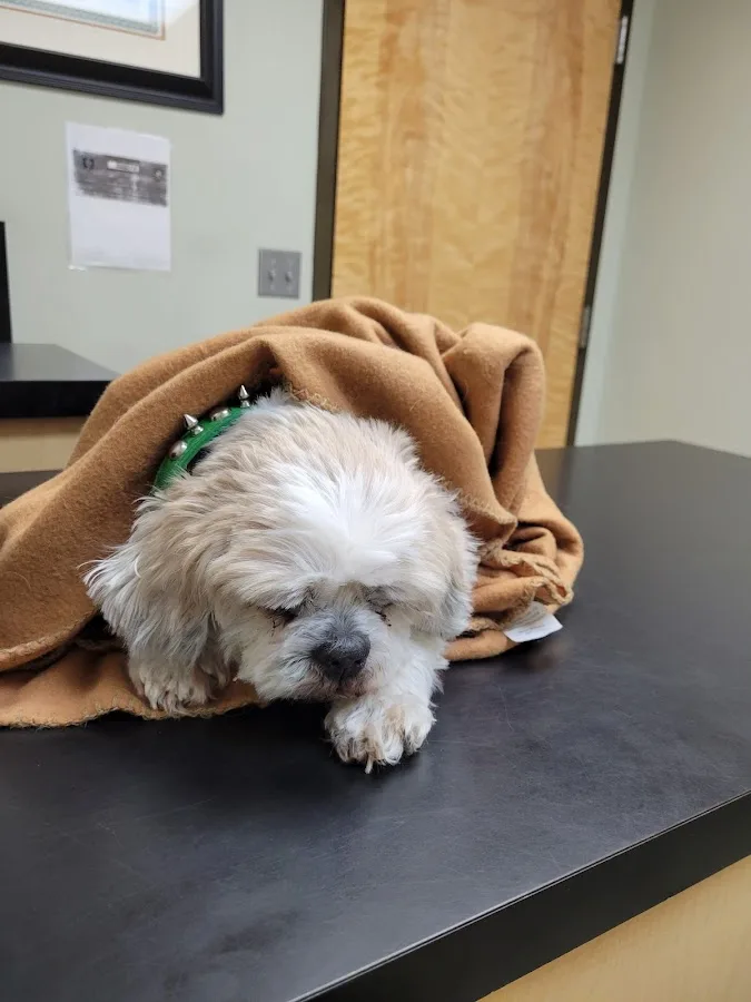 Neel Veterinary Hospital