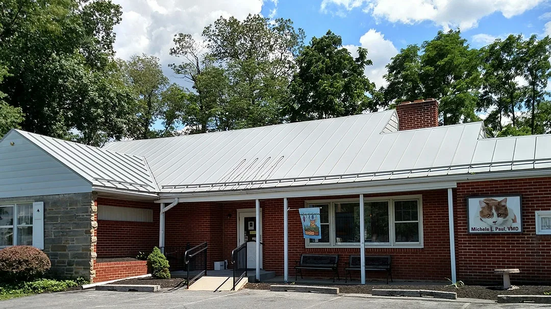 No Nonsense Neutering