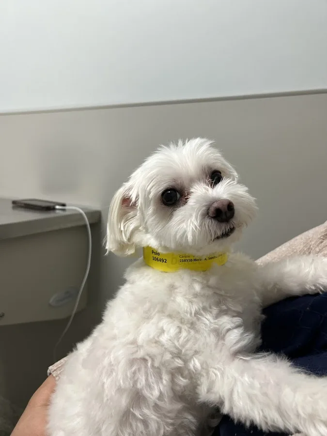 North Dallas Veterinary Emergency & Specialty Hospital