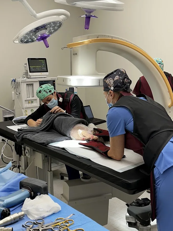 North Springs Veterinary Referral Center