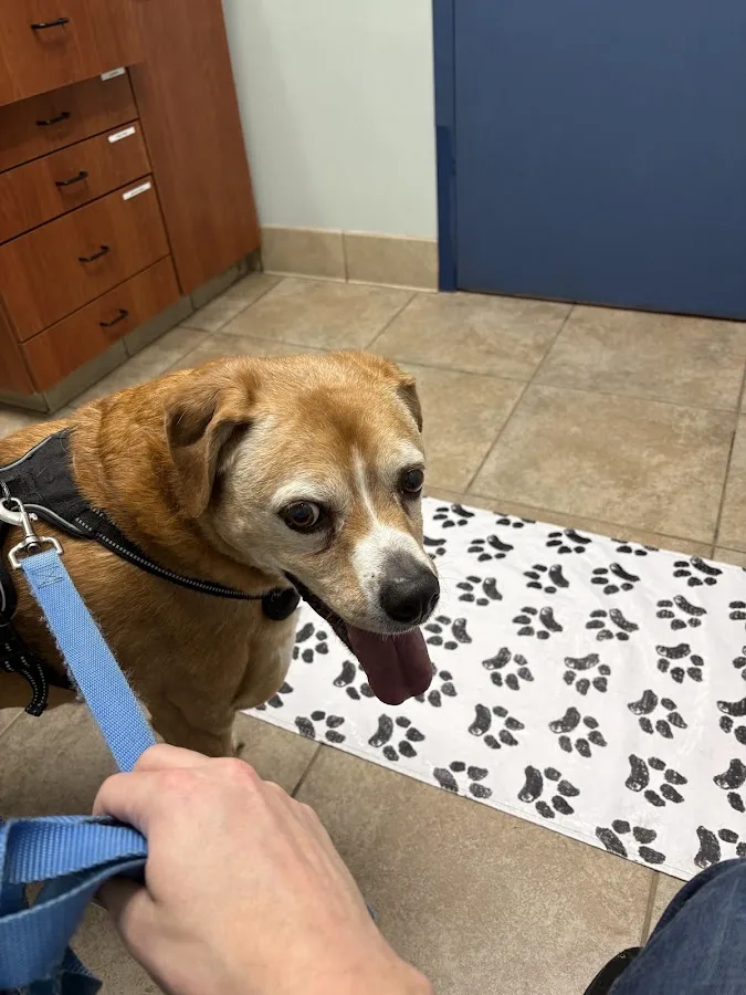 Northeast Indiana Veterinary Emergency & Specialty Hospital