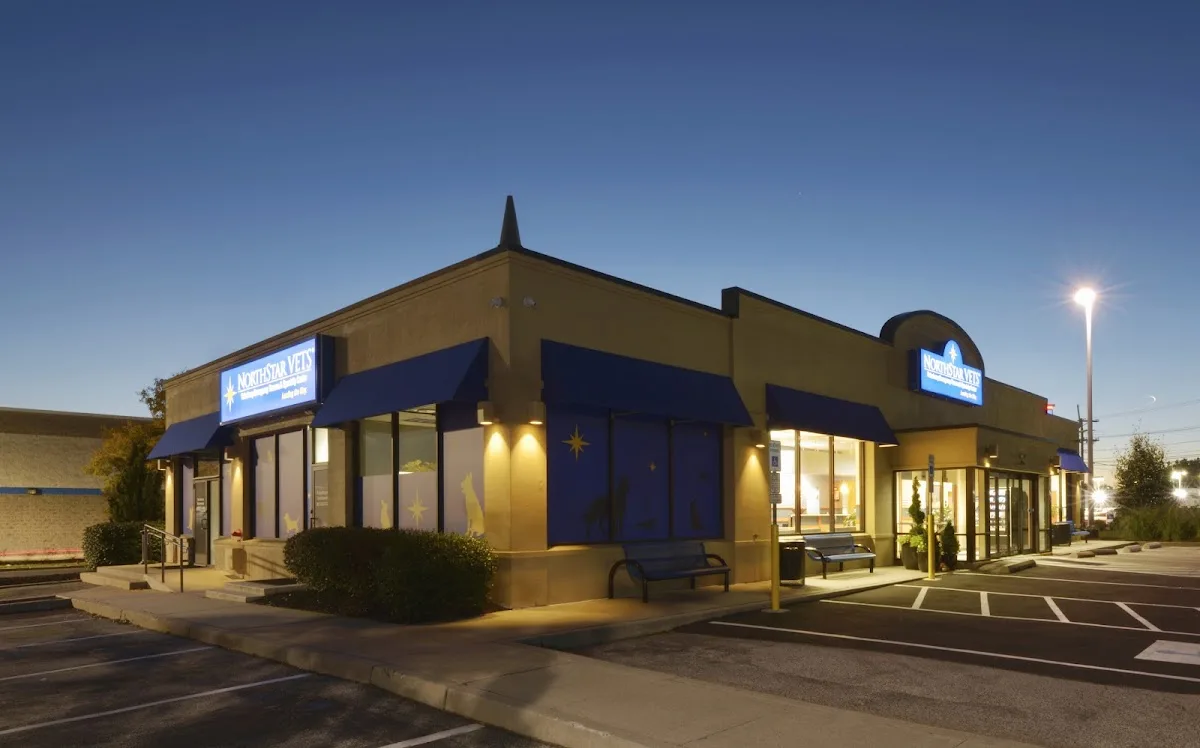 NorthStar VETS primary photo