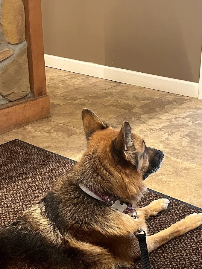 Northway Animal Emergency Clinic