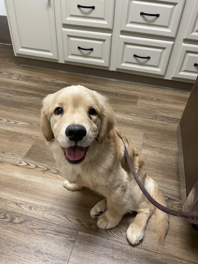 Northwood Animal Hospital