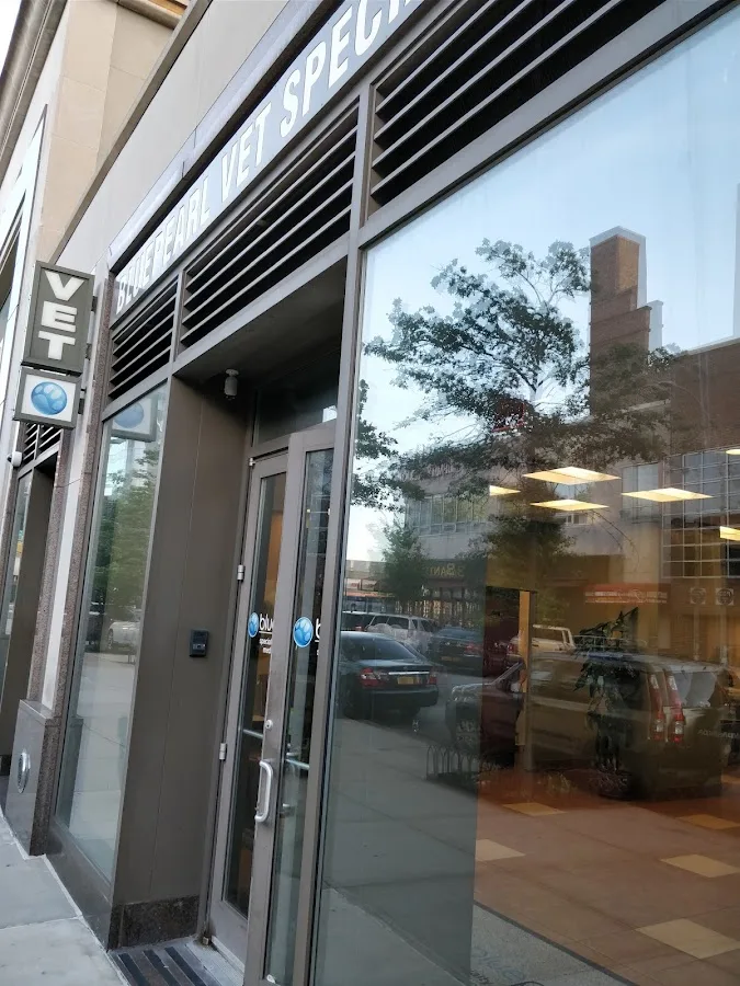 NYC Veterinary Specialists and 24 Hour Animal Emergency - Queens primary photo