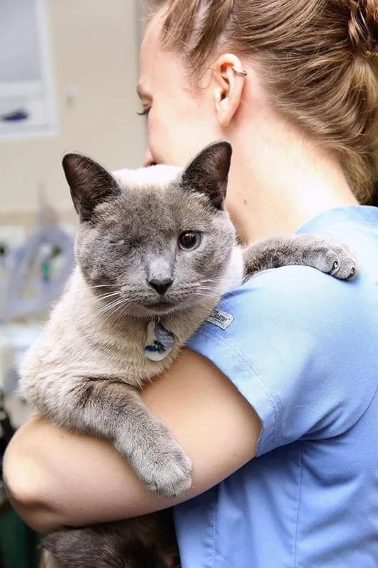 Oakland Veterinary Referral Services