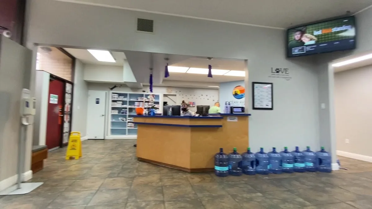 Ocean Avenue Veterinary Hospital