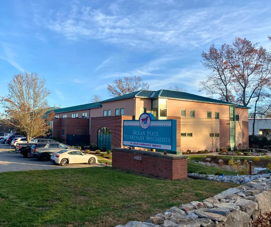 Ocean State Veterinary Specialists