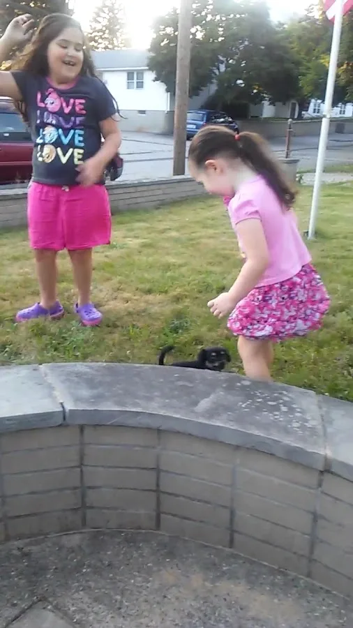 Ocean State Veterinary Specialists