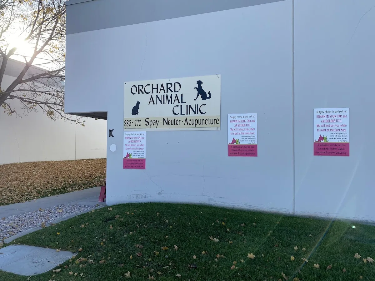Orchard Animal Clinic