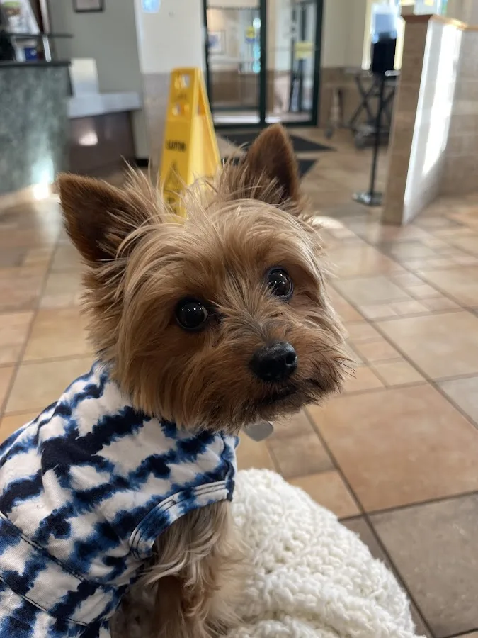 Orchard Park Veterinary Medical Center