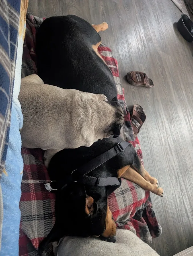 Orchard Park Veterinary Medical Center