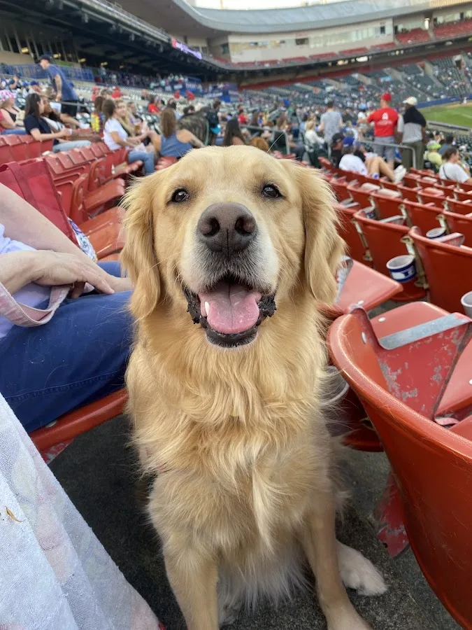 Orchard Park Veterinary Medical Center