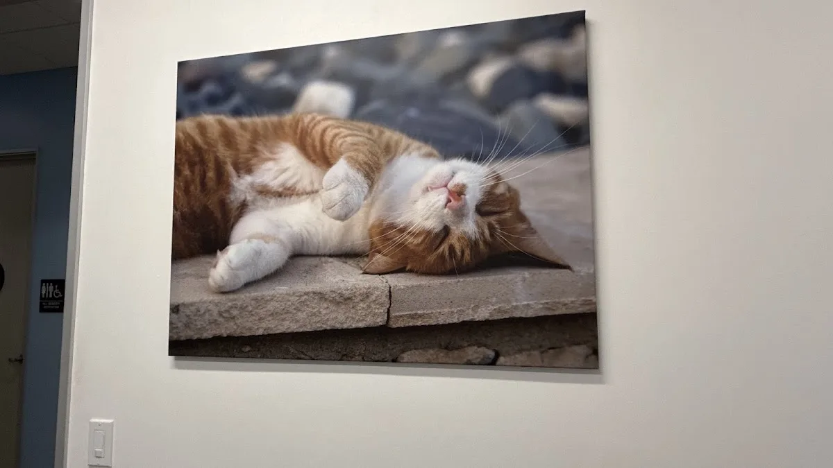 Pacific CARE Pet Emergency & Specialty