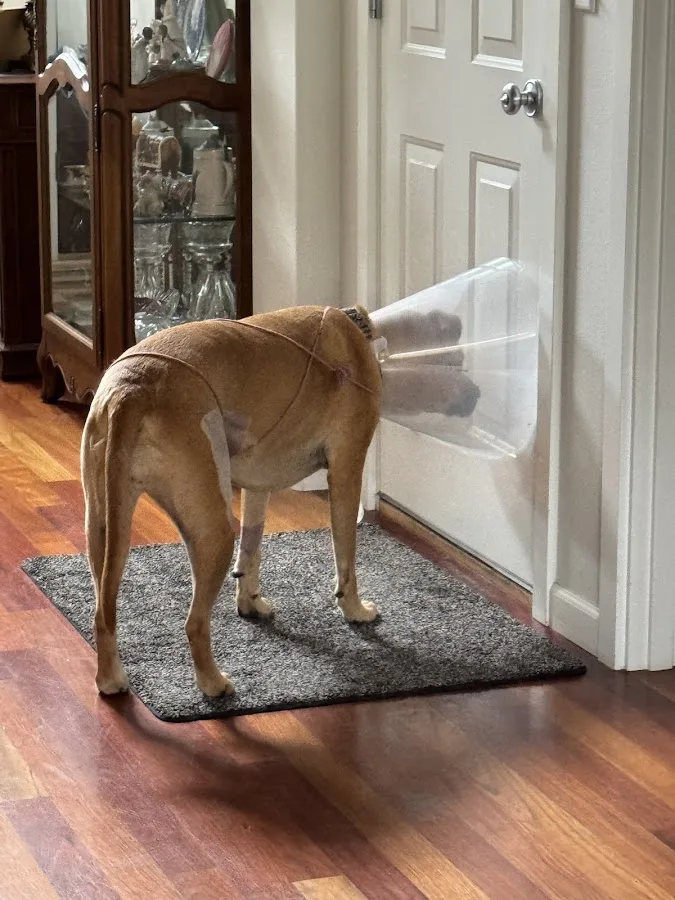 Pacific Northwest Pet ER & Specialty Center