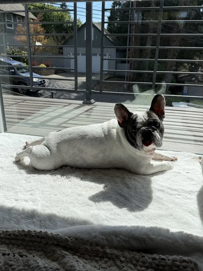 Pacific Northwest Pet ER & Specialty Center