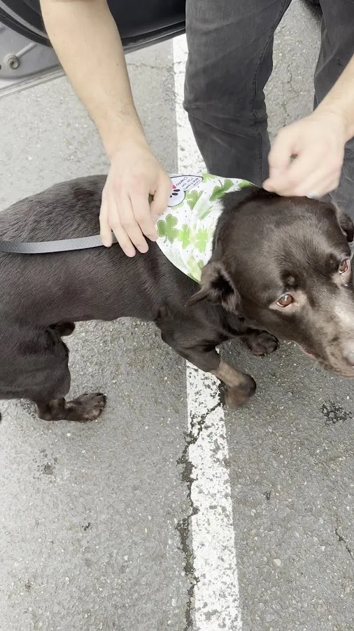 Pacific Northwest Pet ER & Specialty Center