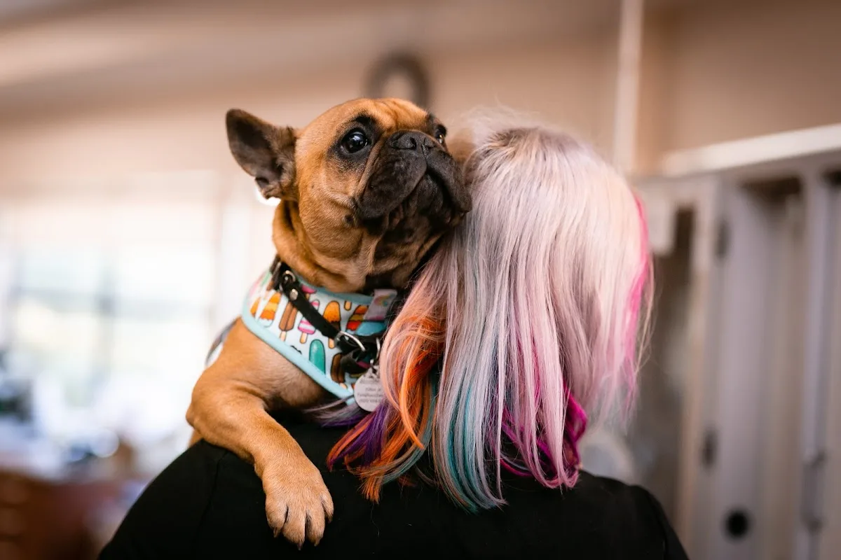 Pacific Veterinary Emergency and Specialty Hospital