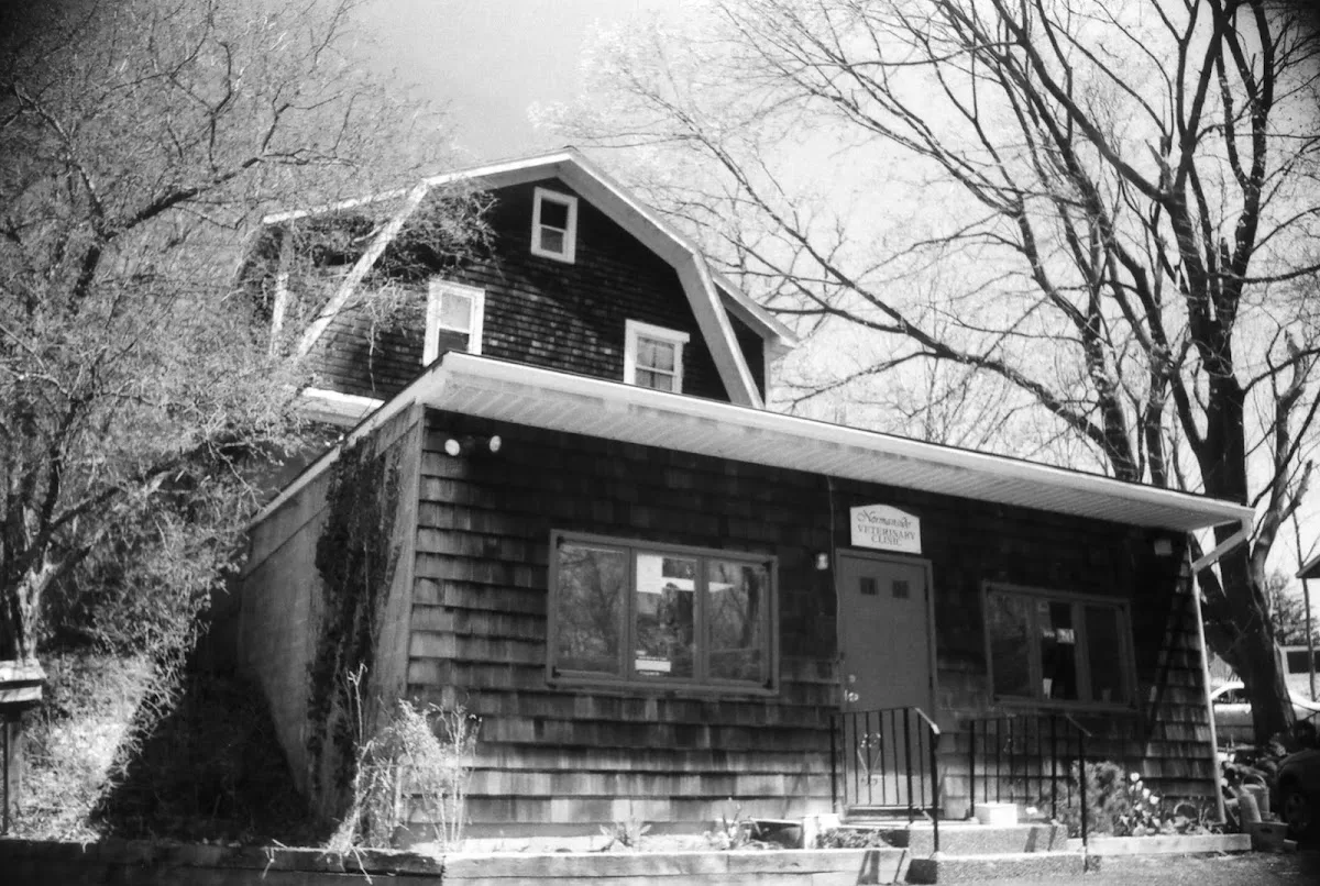 Parkside Veterinary Hospital: Kucskar J DVM primary photo