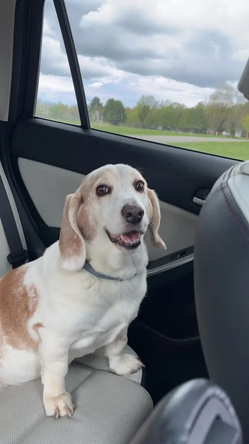 Peak Veterinary Referral Center