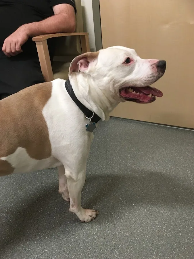 Peak Veterinary Referral Center