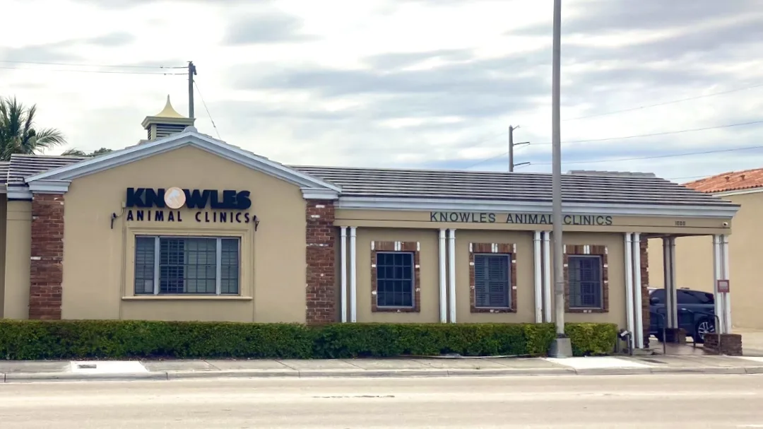 Pereira Jacqueline DVM