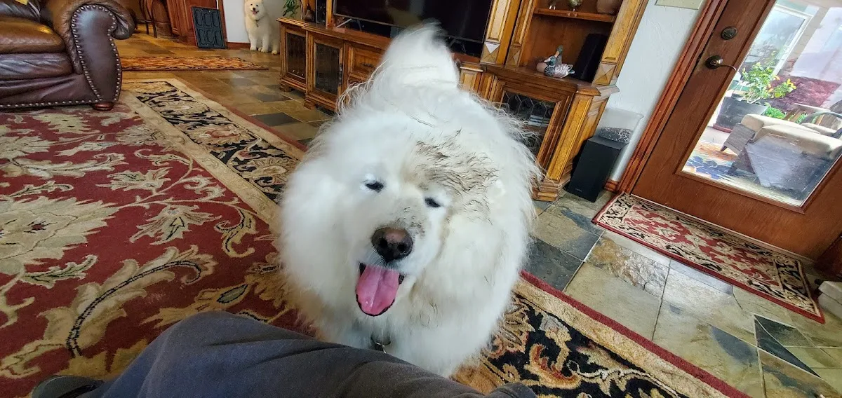 Pet Emergency Clinic