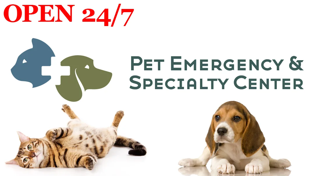 Pet Emergency & Specialty Center-East County primary photo