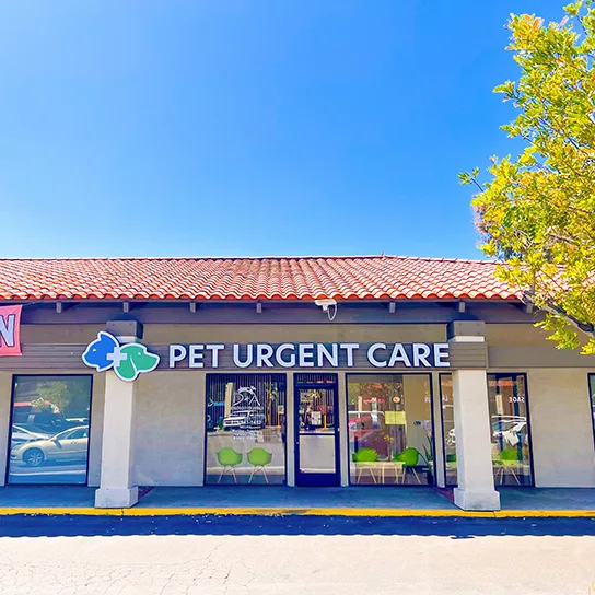 Pet Emergency & Specialty Center-East County