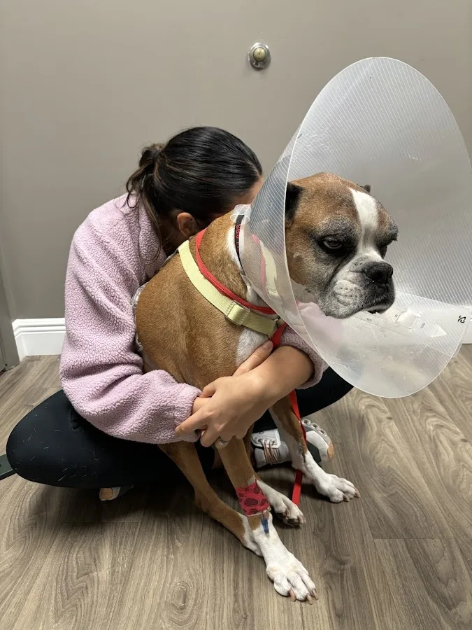 Pet Medical Center-Ft Lauderdale primary photo