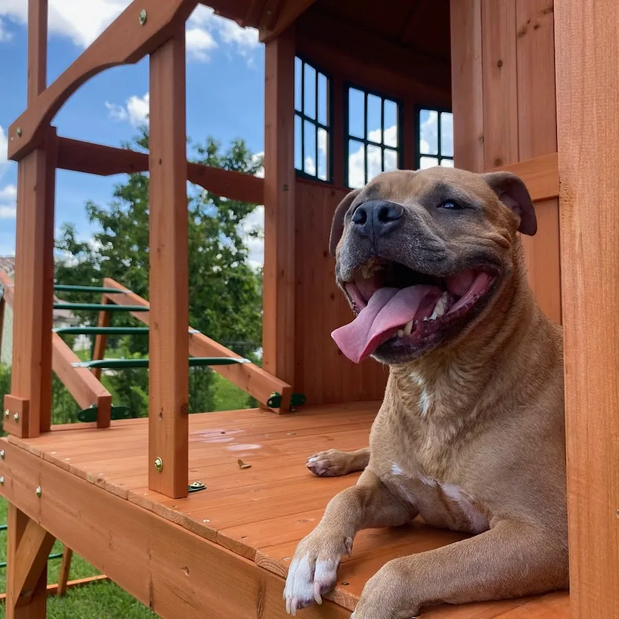 Pet Medical Center-Ft Lauderdale