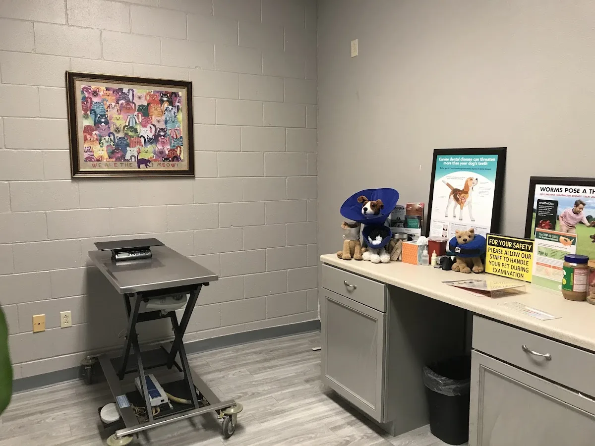 Peter Matthew Koplos