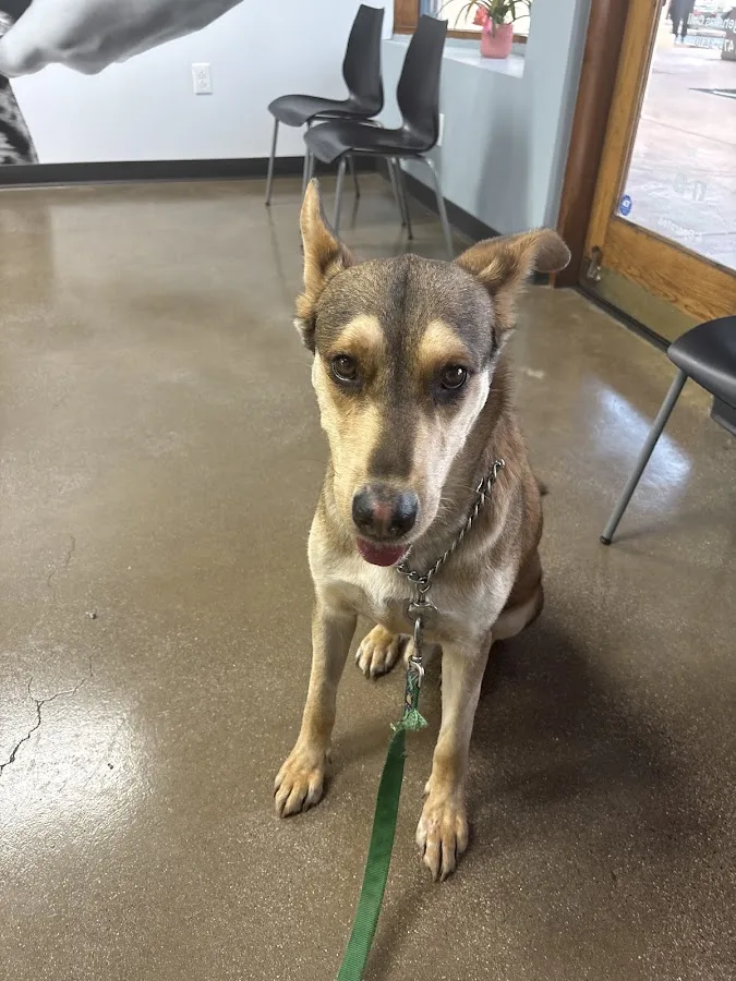 PetWellClinic - Tucson Midtown