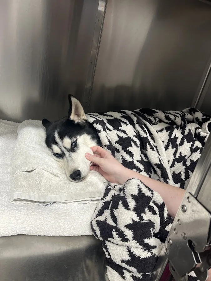 Phoenix Veterinary Referral & Emergency Center