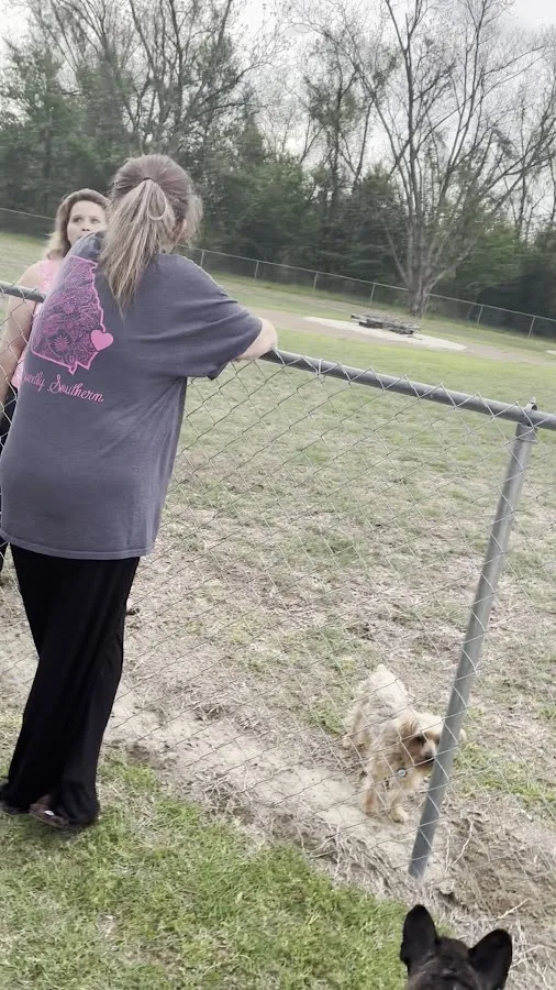 Piedmont Augusta Emergency Room