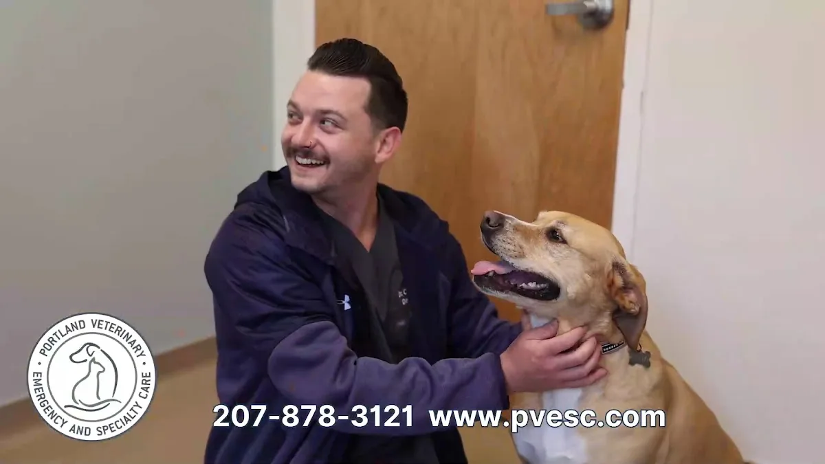 Portland Veterinary Emergency and Specialty Care