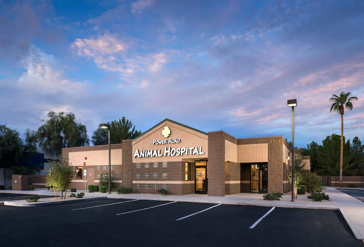 Power Road Animal Hospital