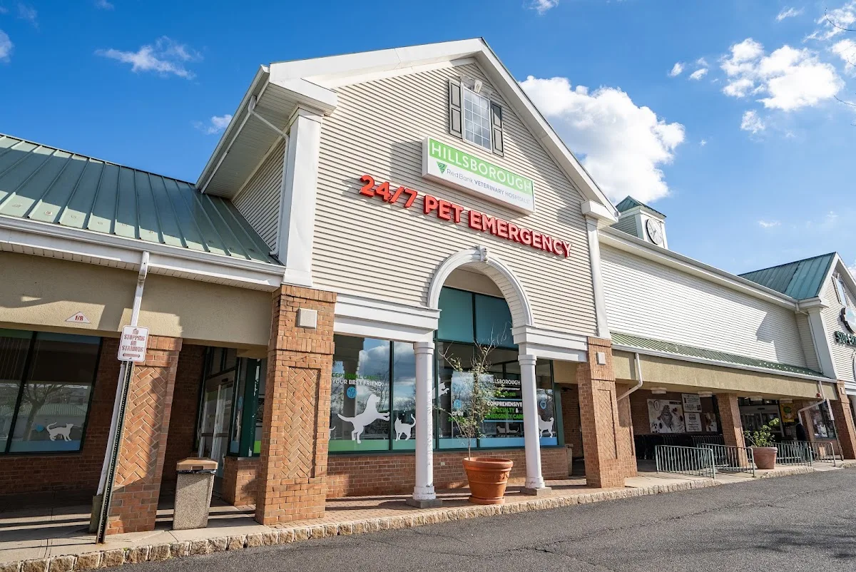 Red Bank Veterinary Hospital (RBVH) - Hillsborough