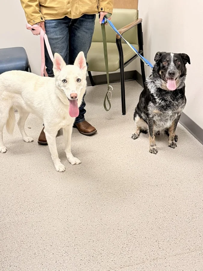 Red Bank Veterinary Hospital (RBVH) - Hillsborough