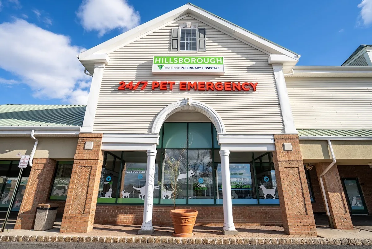 Red Bank Veterinary Hospital (RBVH) - Hillsborough