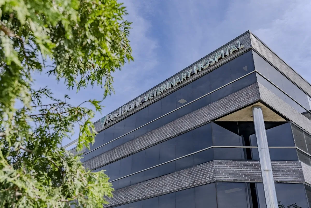 Red Bank Veterinary Hospital (RBVH) - Tinton Falls