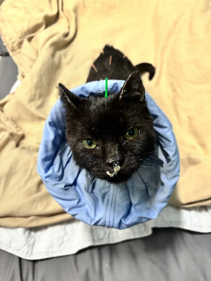 Rhode Island Vet Med Association