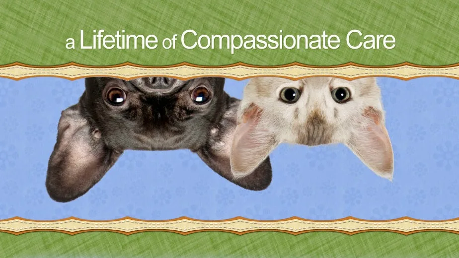 Riordan Pet Hospital: Olds June DVM