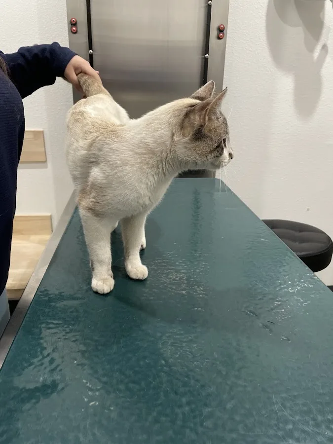 Riverside Regional Veterinary Group